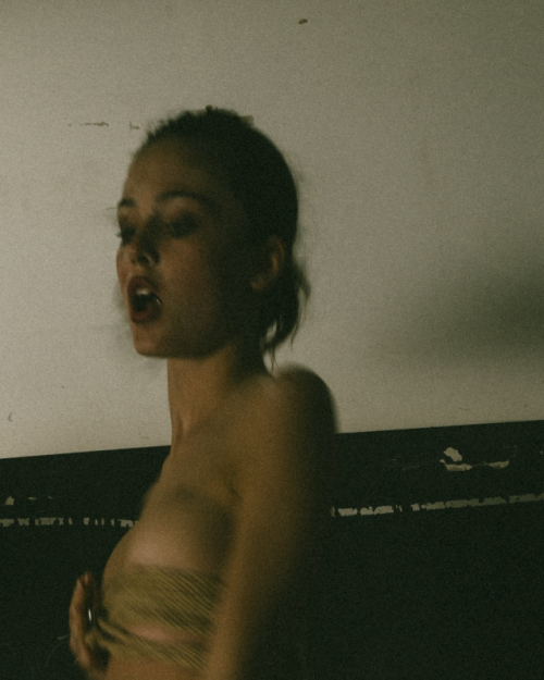 IMG_556456fd2b35ece92979