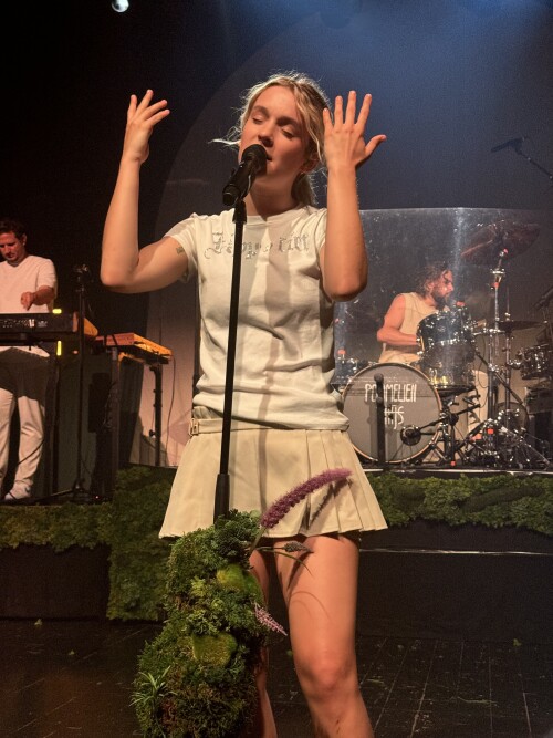 IMG 55731ef8ec415ac8efd2