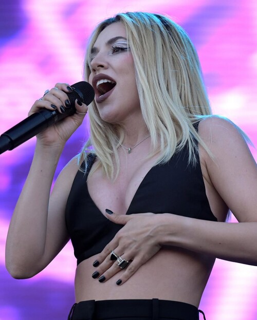 IMG 5595a1cbccc08c51eee1