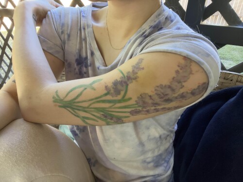 IMG 56222c704e52ffb564d3