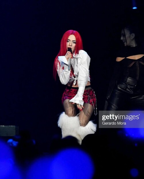 IMG 5677672268e21ef8d844