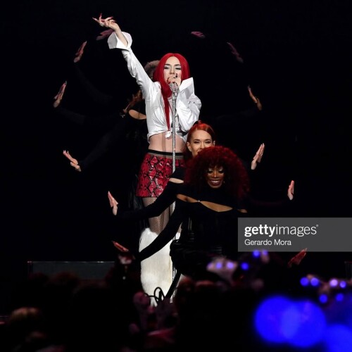 IMG 5685031152d7d036761e