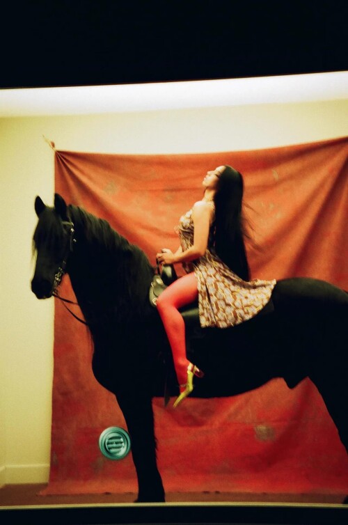 IMG 5701cf63e3c1f1b6a46c