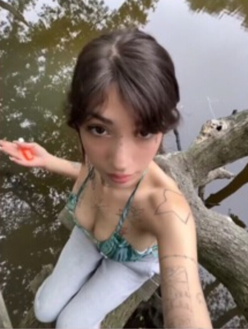 IMG 58504fc284faae436be8