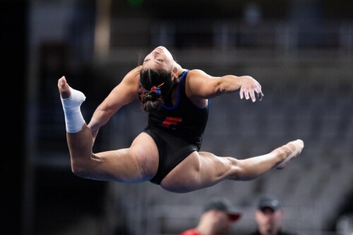 IMG 585182d174428019b179