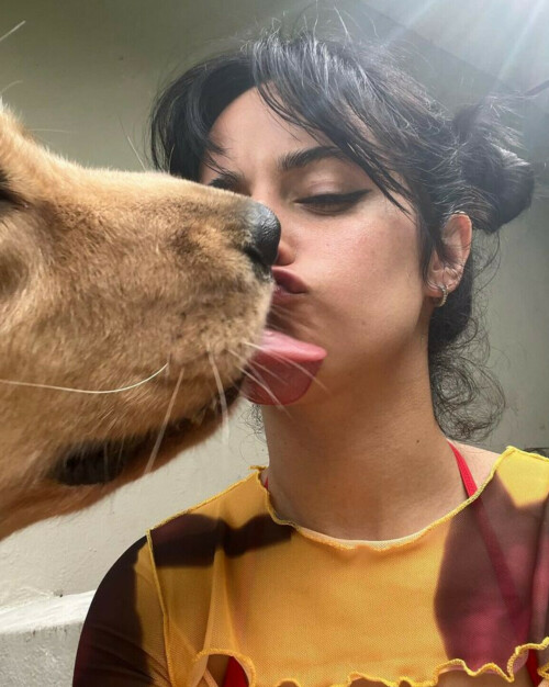 IMG 585216e84711d3716422