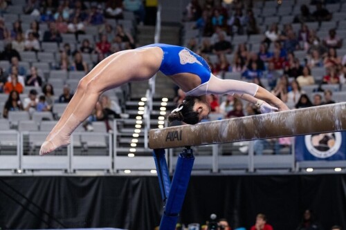 IMG 5855dbcb1a0f31e33835