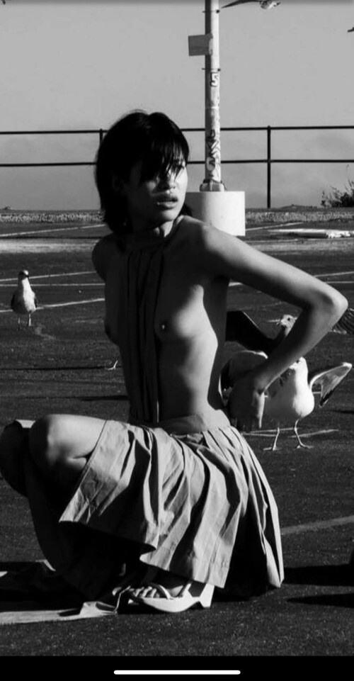 IMG 5887e7de9049a25068f3