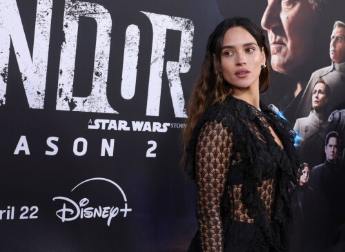 IMG 5889038f3ee10b3bcb2a836