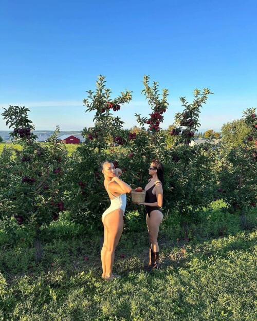 IMG 59504765d320b03c355e