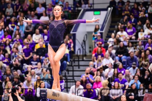 IMG 5954bf3b73aacef89369