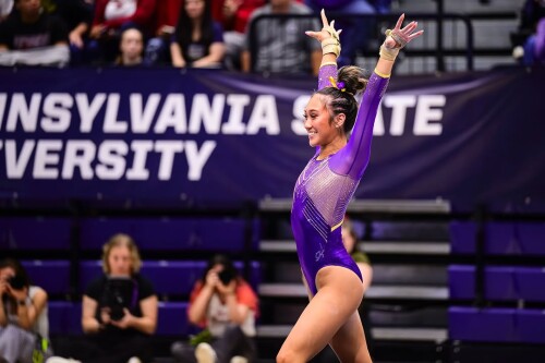 IMG 5955b234b2eee4583a8f