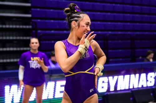 IMG 5956e423d463af47794d