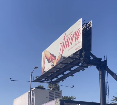 IMG 61254c0664152de671e2