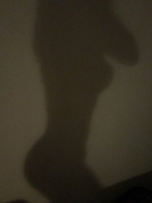 IMG 617545a6482210b28573