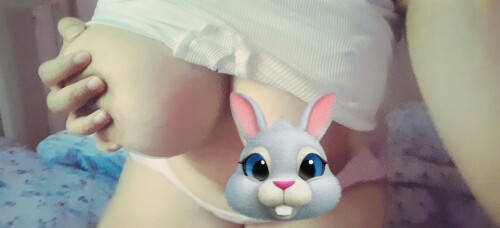 IMG 6184cfed147a88bfdd05