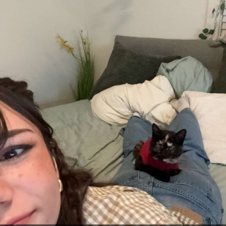 IMG_61868c57143363c363cf