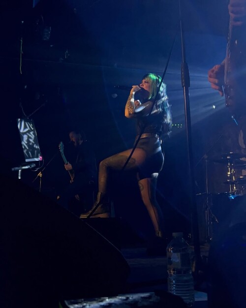 IMG 6279fa1338b579dd88fb