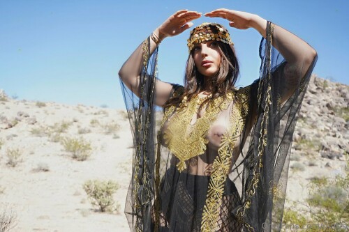 IMG 6313a3fd2c24689be34b