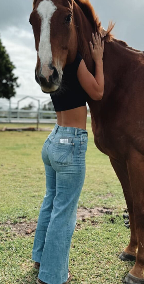 IMG 63961d1beefddb9d5132