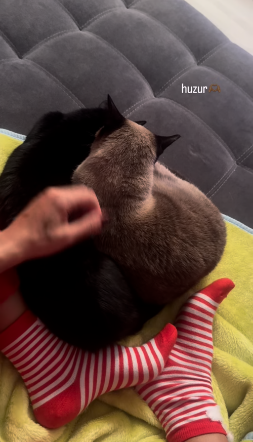 IMG_6415f7182003ae0c42a5