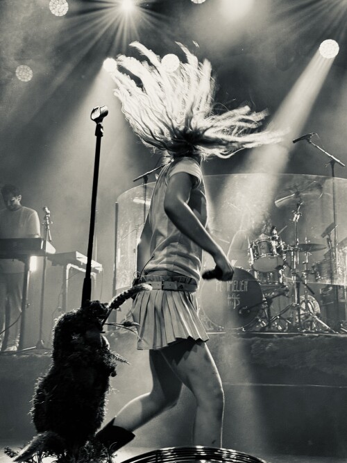 IMG 6419b14763558c104b9a