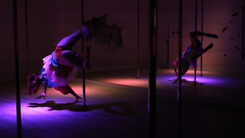 IMG 647491c9f69de0a8ca43