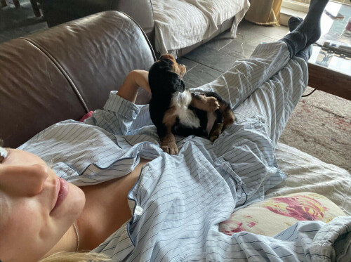 IMG 6497e35c4c0bff642a5a