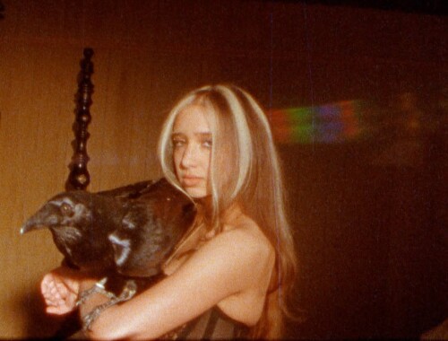 IMG 6514454bcff0e3274ca4