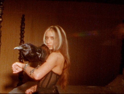 IMG 6517efbf5a6f921fb69e