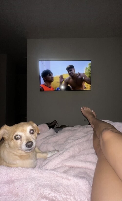 IMG 6529ecbb4650ce4c77fd