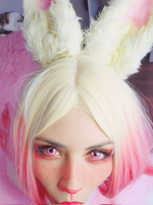 IMG 65464a70496aa88d1868