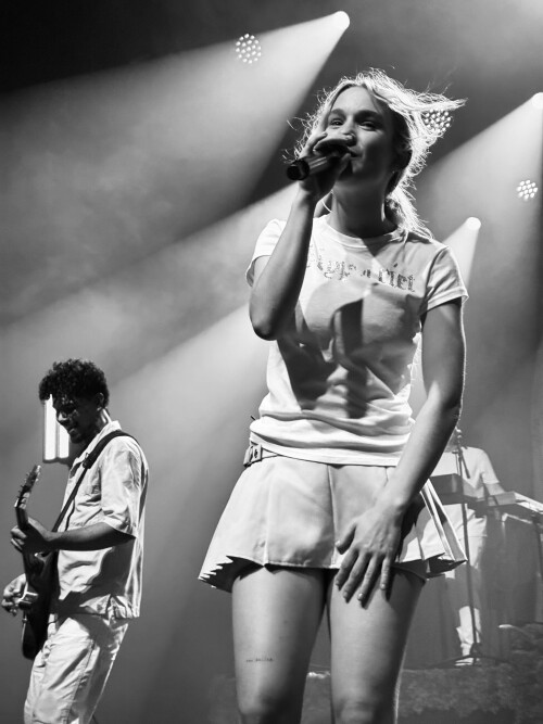 IMG 6589a1831c8dd2337112