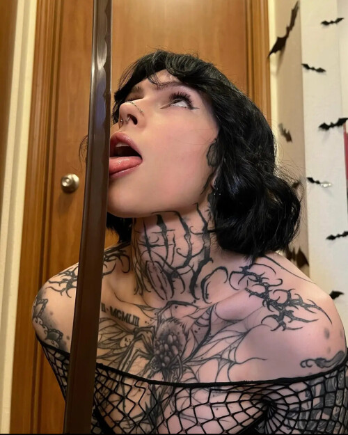 IMG 66219aaf3541ae2313e6