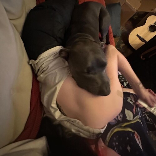 IMG 6651f2b83c33cc7c3ebc