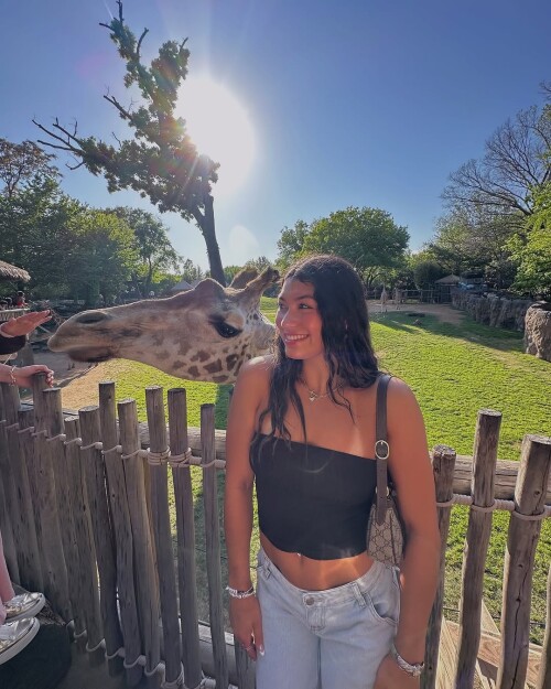 IMG 67243d56ad540a075b3a