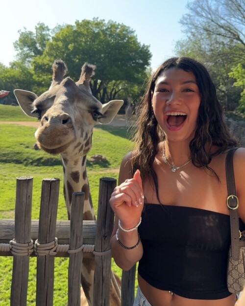 IMG 6727fb32a6aae65b9843