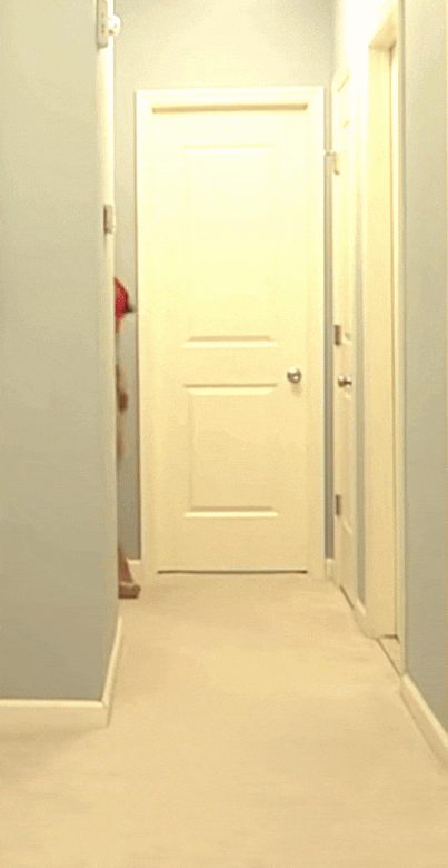 IMG_676582ce82a947ba8cdf