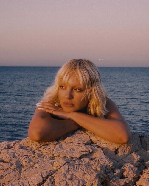 IMG 677211124aad451804fd