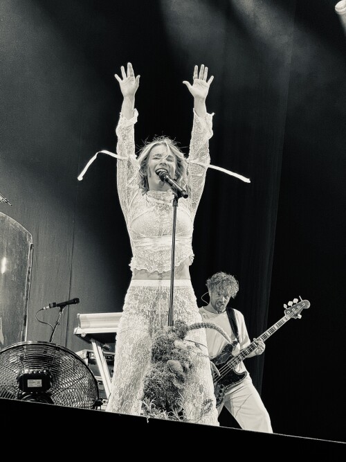 IMG 6781ad3bc7c8e61104d9