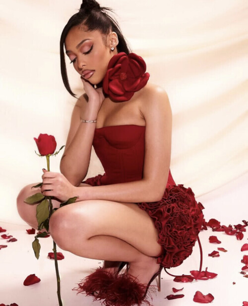 IMG 6782d0738f40c23d1ef4