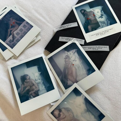 IMG 67992033c440cb8cfa63