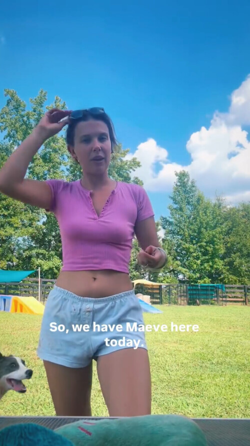 IMG 6845245c60e8a264257f