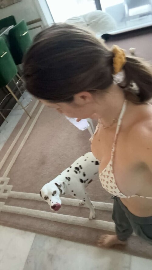 IMG 684897e3498d857fe1ab