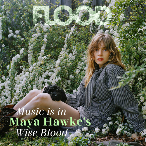 IMG 6848d452c52d56368d50