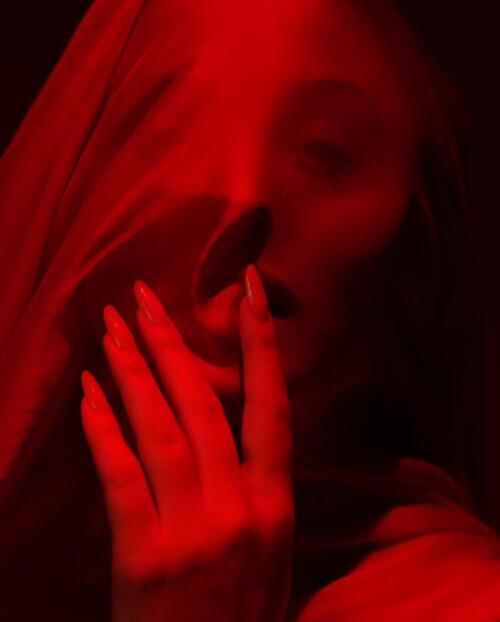 IMG 6895128a9b7d7fdfbd04