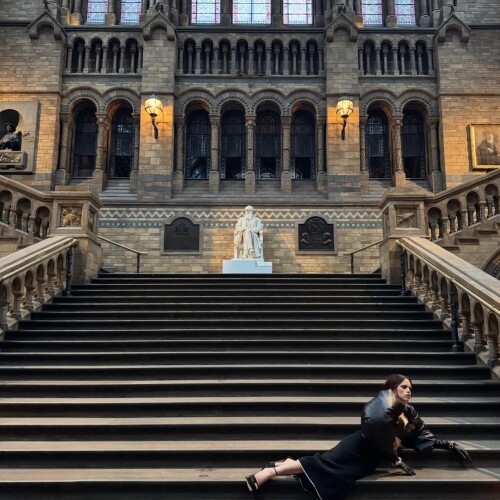 IMG 6906f095960cb579703f