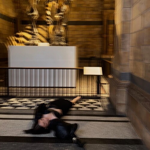 IMG 6909462a35502620d388