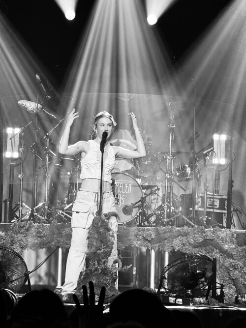 IMG 6915d3fbad7f84c24841