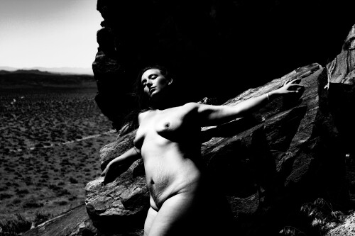 IMG 6976ea72363f4028c04c